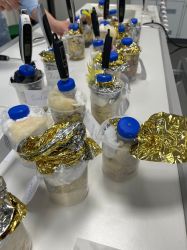 1 Experimente Isolation Schuelerergebnisse